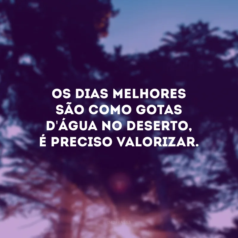 Os dias melhores são como gotas d\'água no deserto, é preciso valorizar.