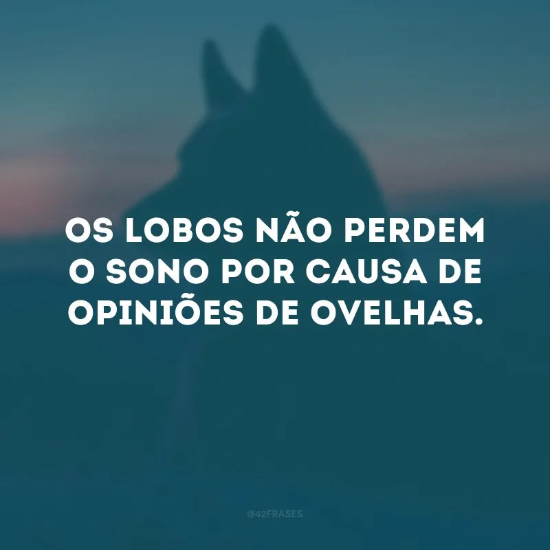 Os lobos não perdem o sono por causa de opiniões de ovelhas. 
