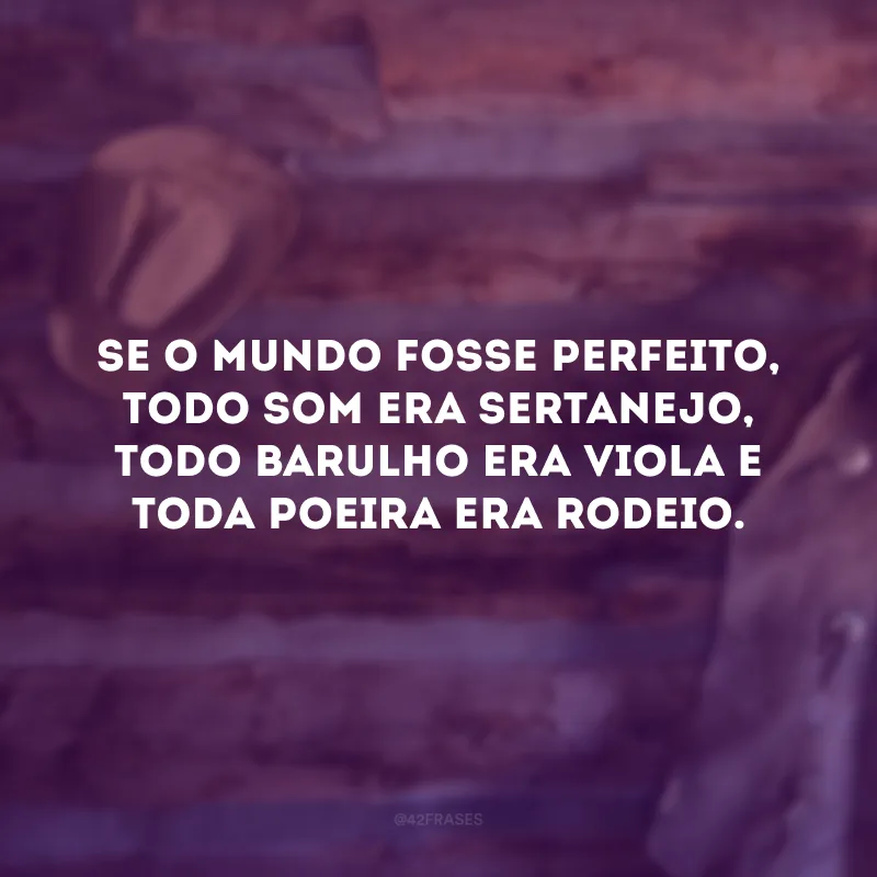 Se o mundo fosse perfeito, todo som era sertanejo, todo barulho era viola e toda poeira era rodeio.