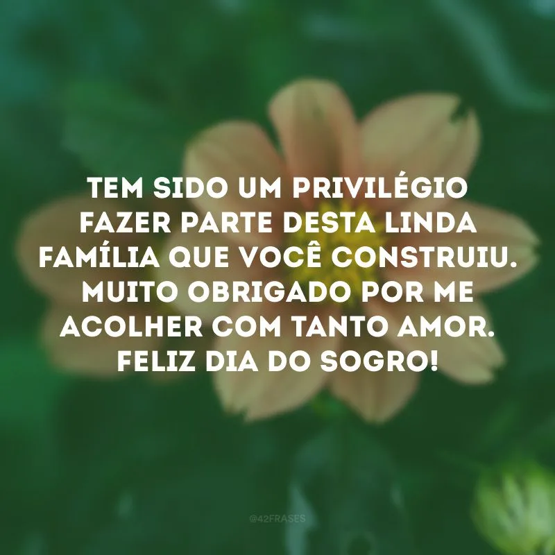 Tem sido um privilégio fazer parte desta linda família que você construiu. Muito obrigado por me acolher com tanto amor. Feliz Dia do Sogro! 