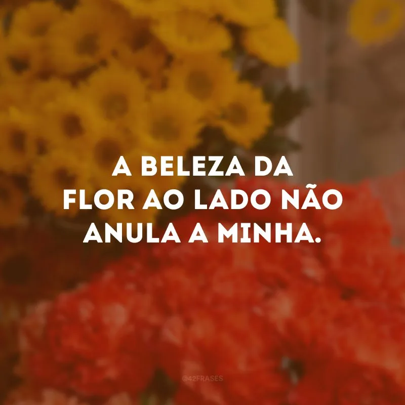 A beleza da flor ao lado não anula a minha.
