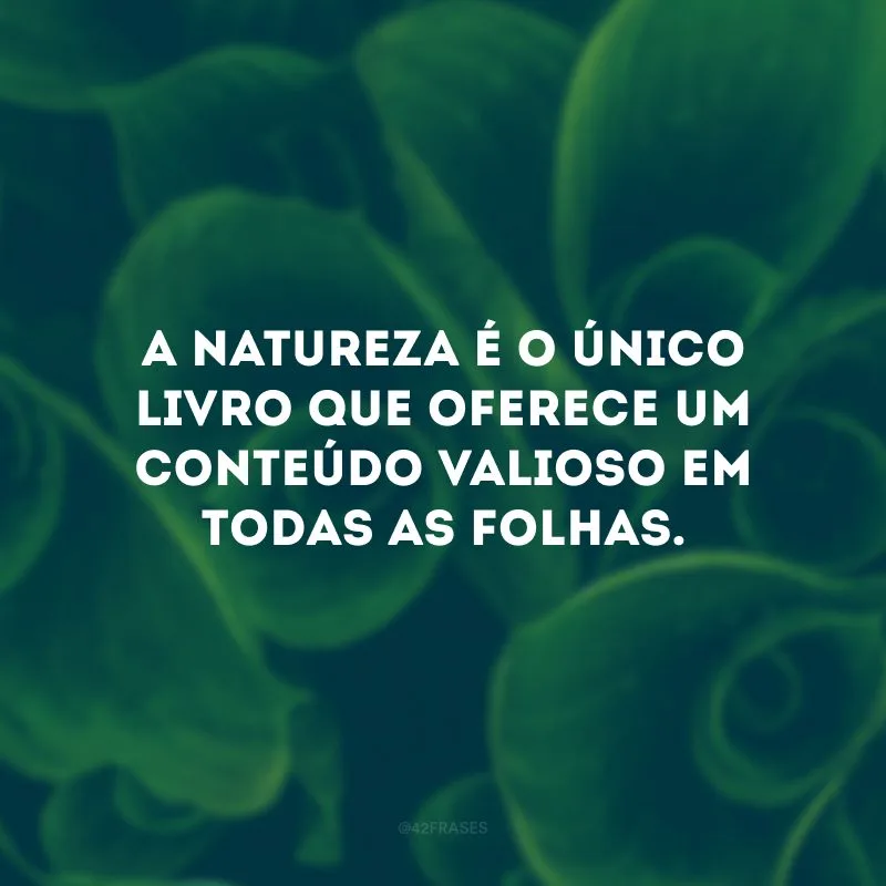 A natureza é o único livro que oferece um conteúdo valioso em todas as folhas. 