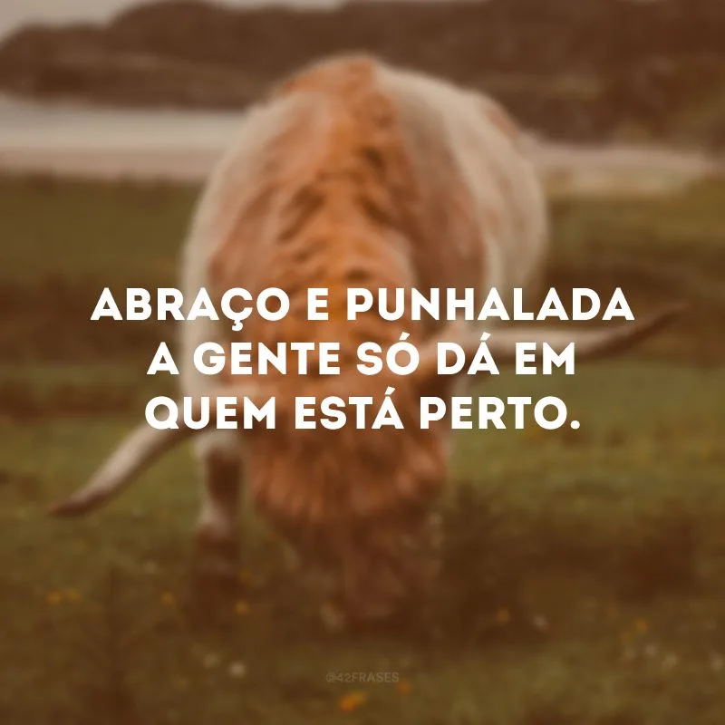 Abraço e punhalada a gente só dá em quem está perto.