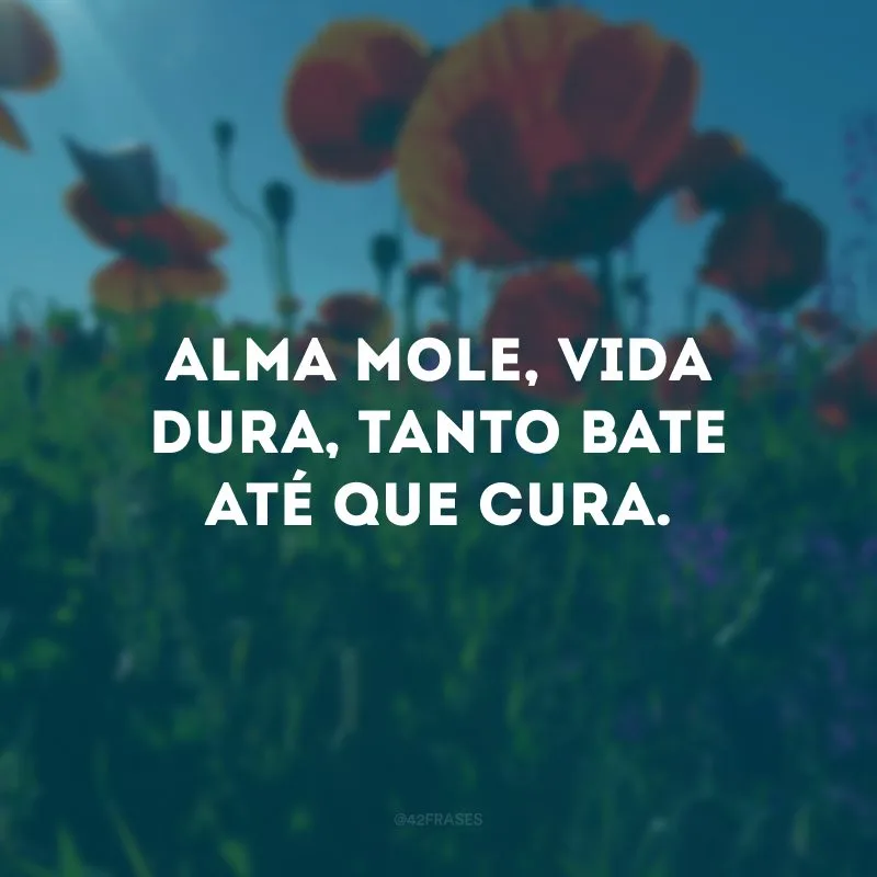 Alma mole, vida dura, tanto bate até que cura. 