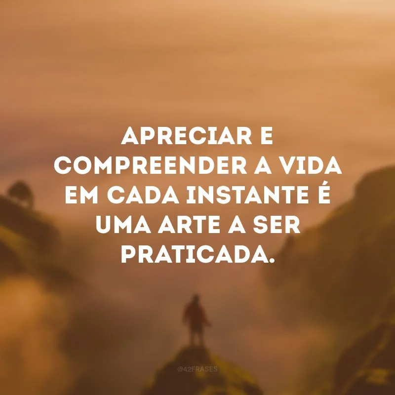 Apreciar e compreender a vida em cada instante é uma arte a ser praticada.