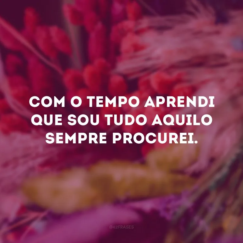 Com o tempo aprendi que sou tudo aquilo sempre procurei.