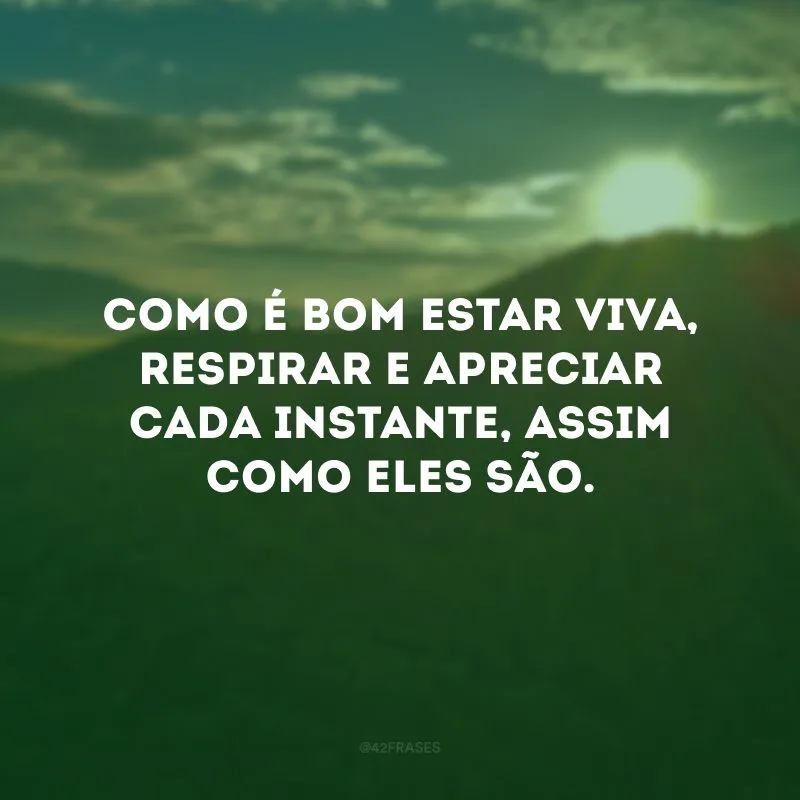 Como é bom estar viva, respirar e apreciar cada instante, assim como eles são.