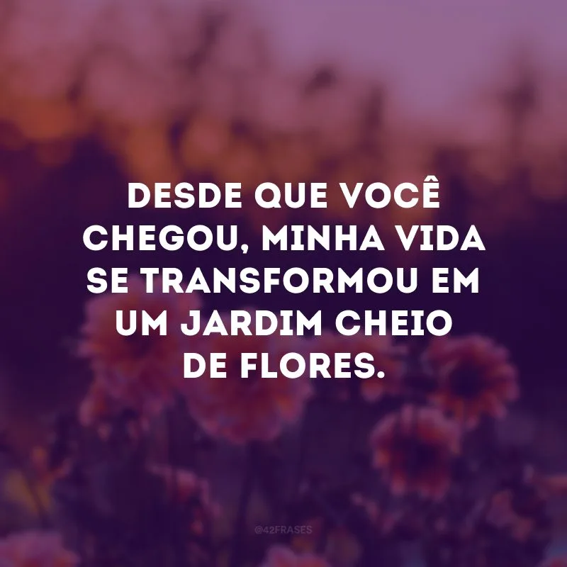 Desde que você chegou, minha vida se transformou em um jardim cheio de flores. 