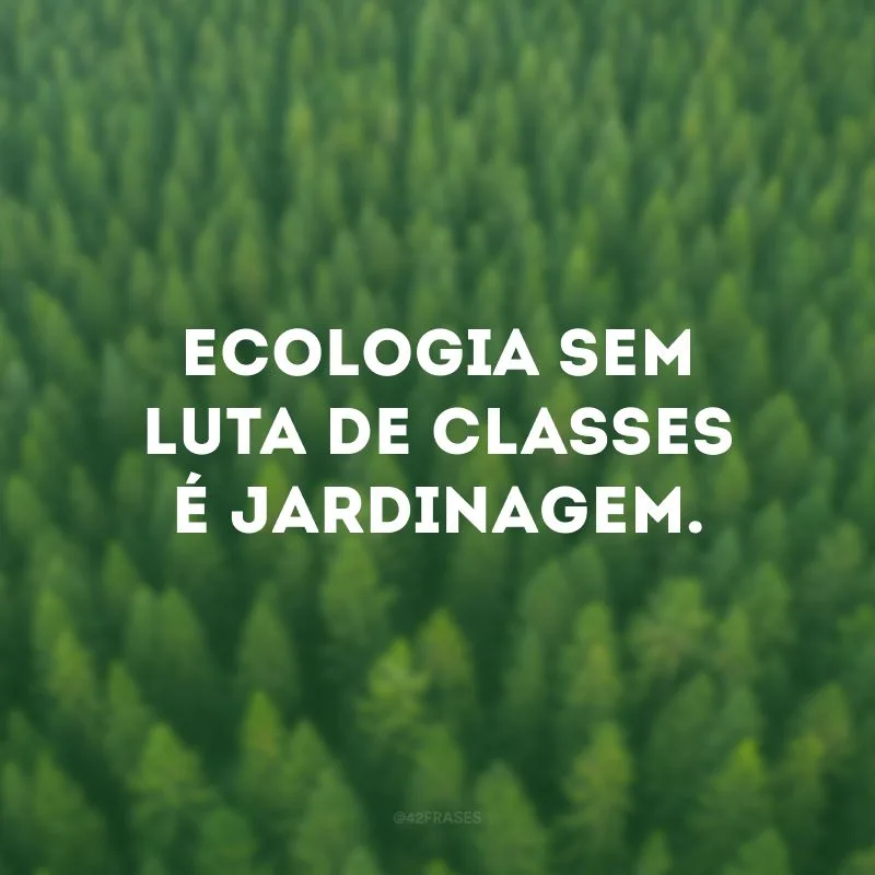 Ecologia sem luta de classes é jardinagem.