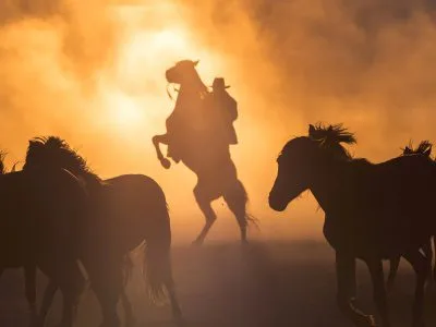 60 frases de rodeio para quem ama a cultura sertaneja