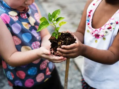30 frases sobre meio ambiente para cuidar melhor do nosso planeta