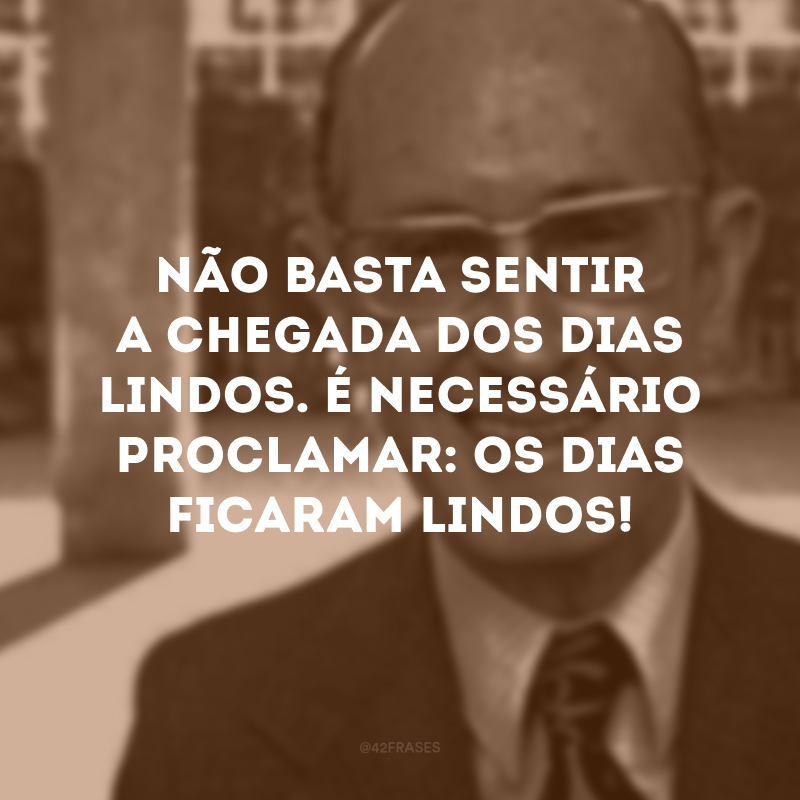 Não basta sentir a chegada dos dias lindos. É necessário proclamar: os dias ficaram lindos! 
