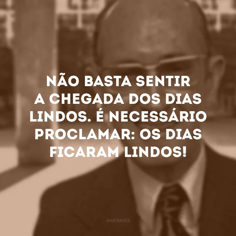 Não basta sentir a chegada dos dias lindos. É necessário proclamar: os dias ficaram lindos! 