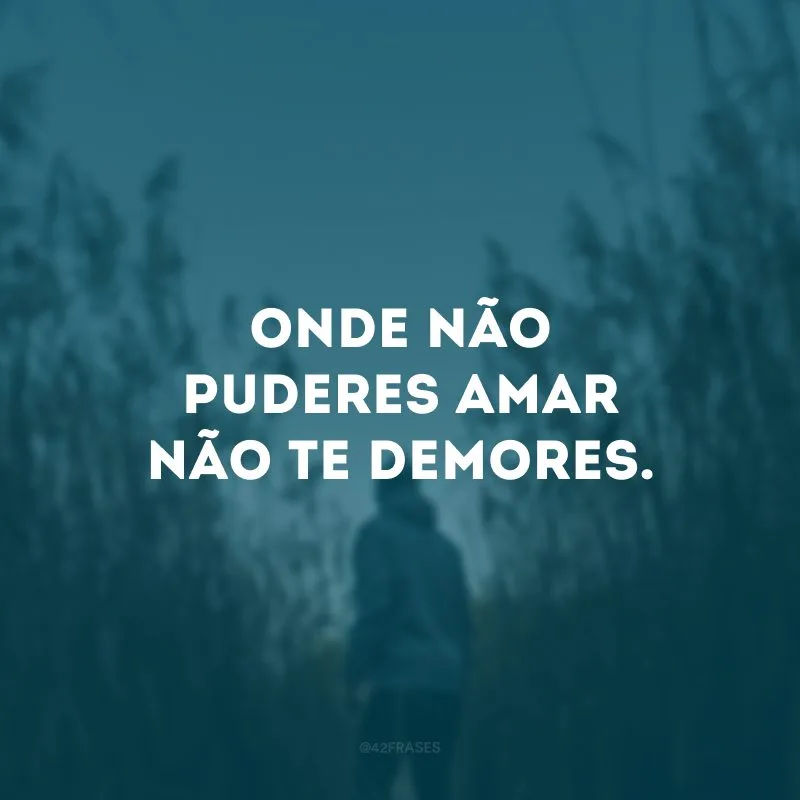 Onde não puderes amar não te demores.