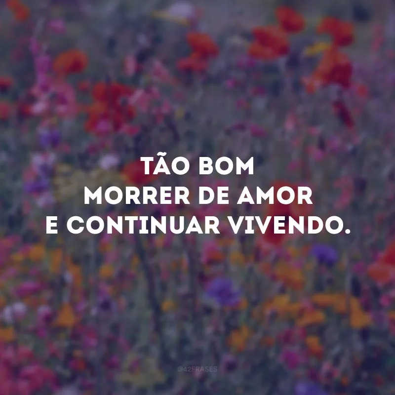 Tão bom morrer de amor e continuar vivendo.