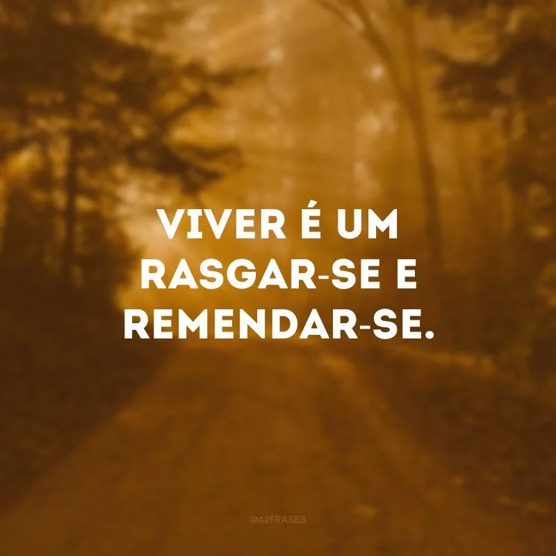 Viver é um rasgar-se e remendar-se. 