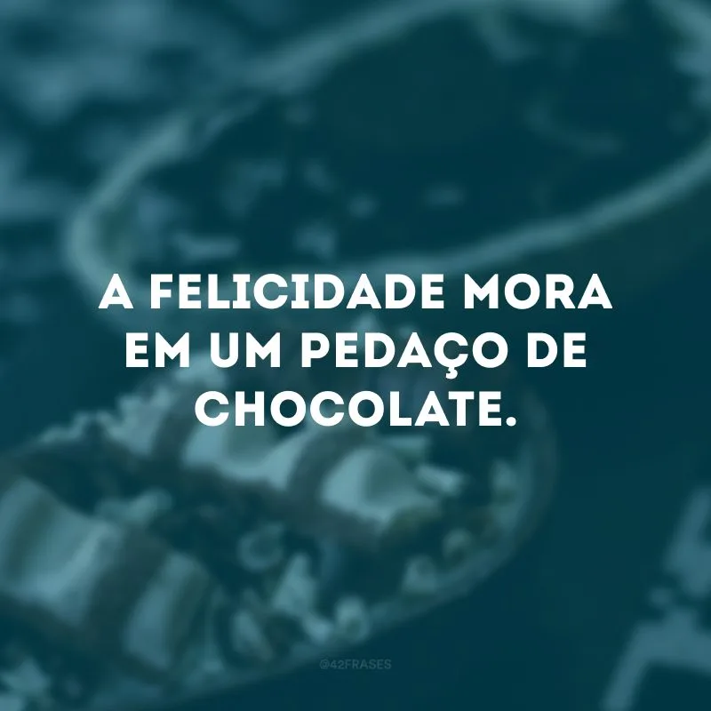 A felicidade mora em um pedaço de chocolate. 