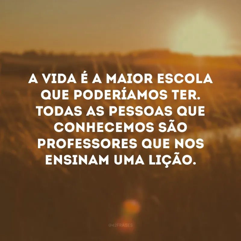 A vida é a maior escola que poderíamos ter. Todas as pessoas que conhecemos são professores que nos ensinam uma lição. 