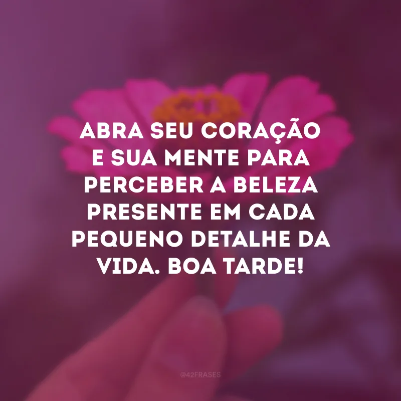 Abra seu coração e sua mente para perceber a beleza presente em cada pequeno detalhe da vida. Boa tarde!