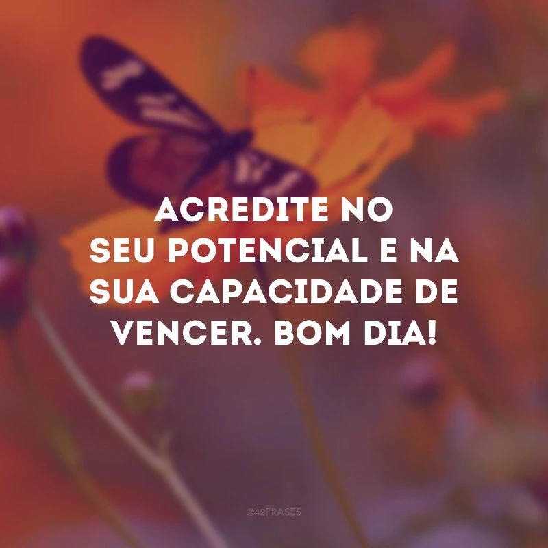 Acredite no seu potencial e na sua capacidade de vencer. Bom dia! 