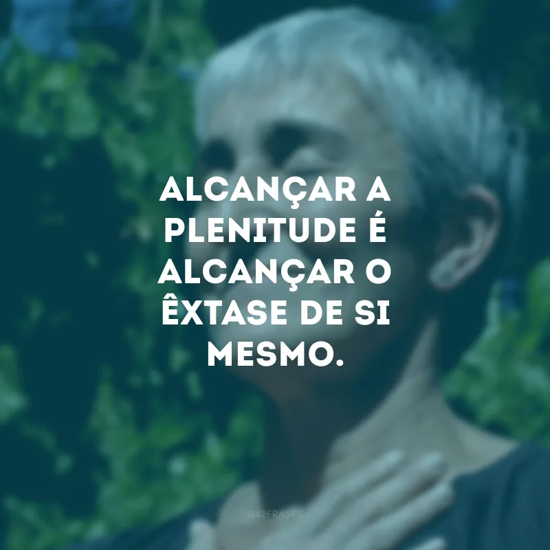 Alcançar a plenitude é alcançar o êxtase de si mesmo. 