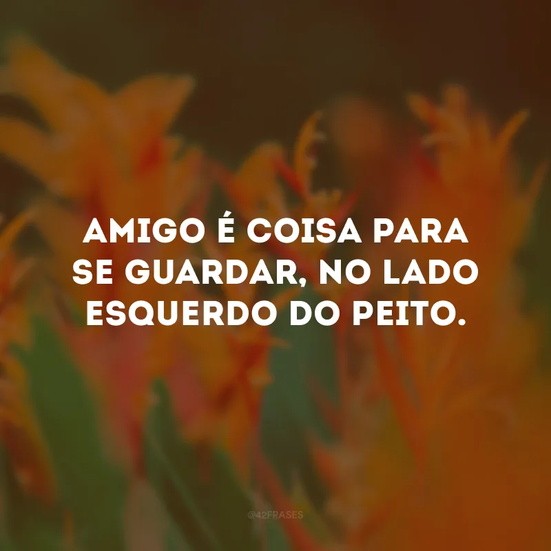 Amigo é coisa para se guardar, no lado esquerdo do peito.