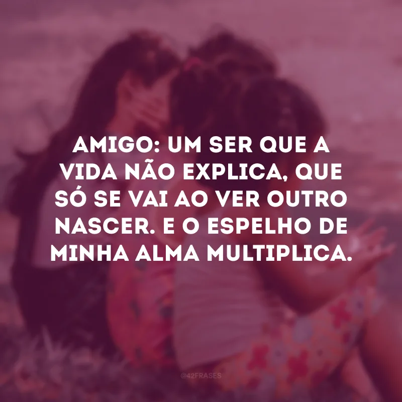 Amigo: um ser que a vida não explica, que só se vai ao ver outro nascer. E o espelho de minha alma multiplica.