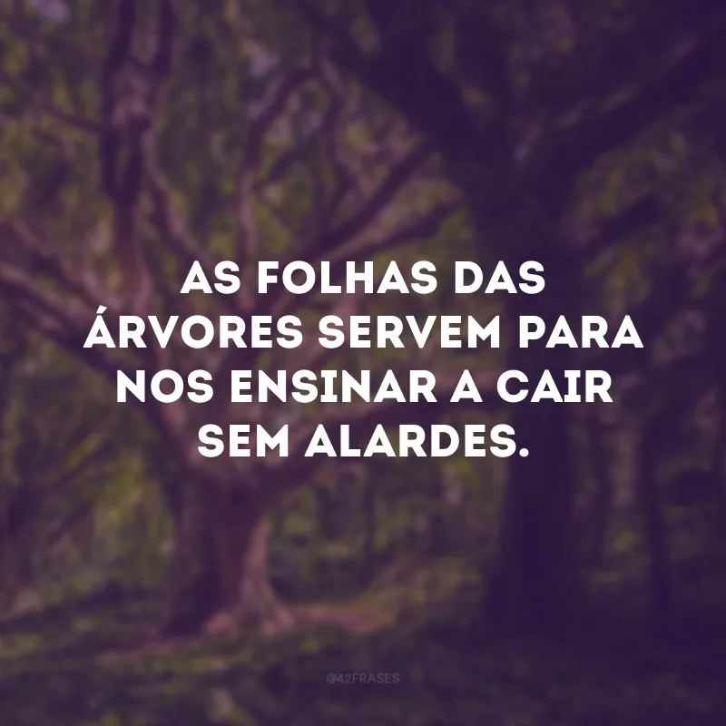 As folhas das árvores servem para nos ensinar a cair sem alardes.