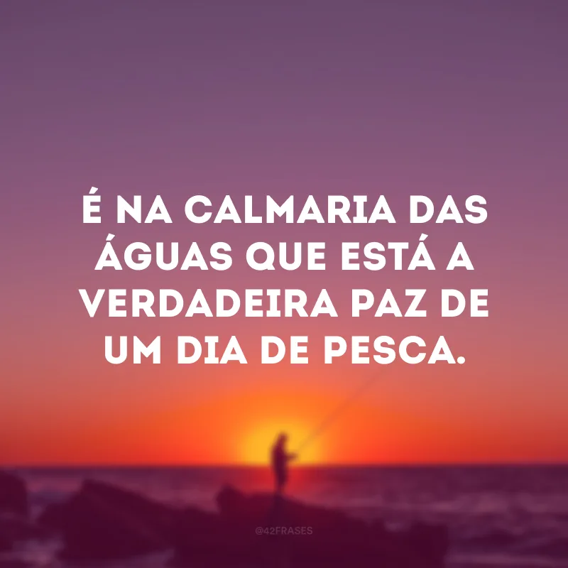 É na calmaria das águas que está a verdadeira paz de um dia de pesca. 