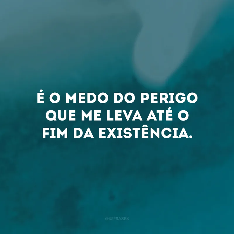 É o medo do perigo que me leva até o fim da existência.