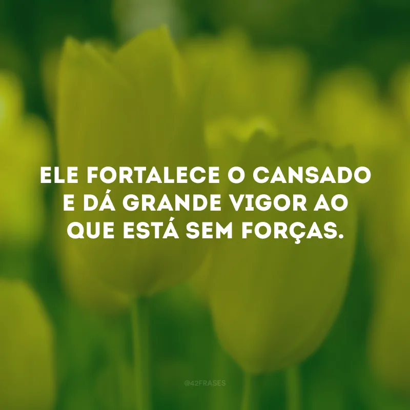 Ele fortalece o cansado e dá grande vigor ao que está sem forças.