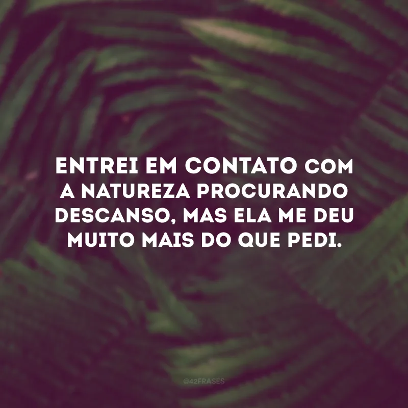 Entrei em contato com a natureza procurando descanso, mas ela me deu muito mais do que pedi.