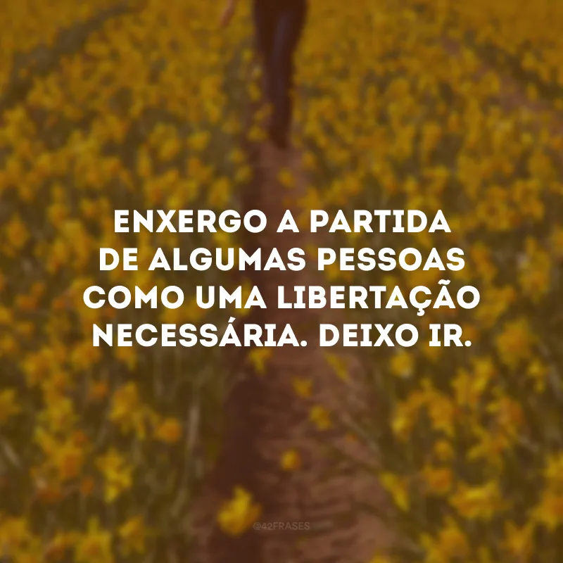 Enxergo a partida de algumas pessoas como uma libertação necessária. Deixo ir. 