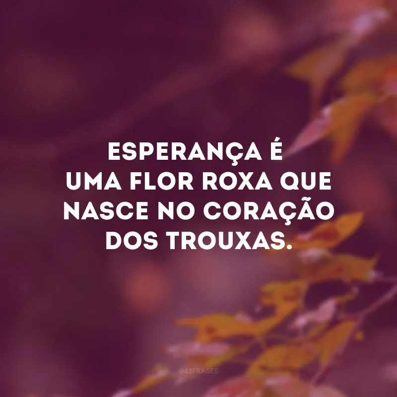 Esperança é uma flor roxa que nasce no coração dos trouxas. 