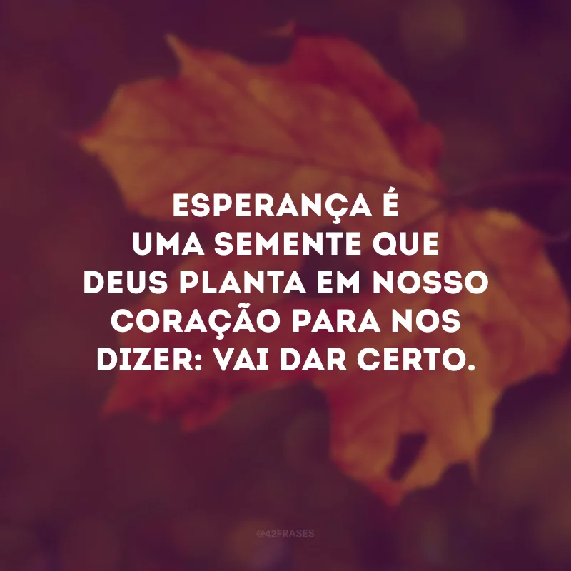 Esperança é uma semente que Deus planta em nosso coração para nos dizer: vai dar certo. 
