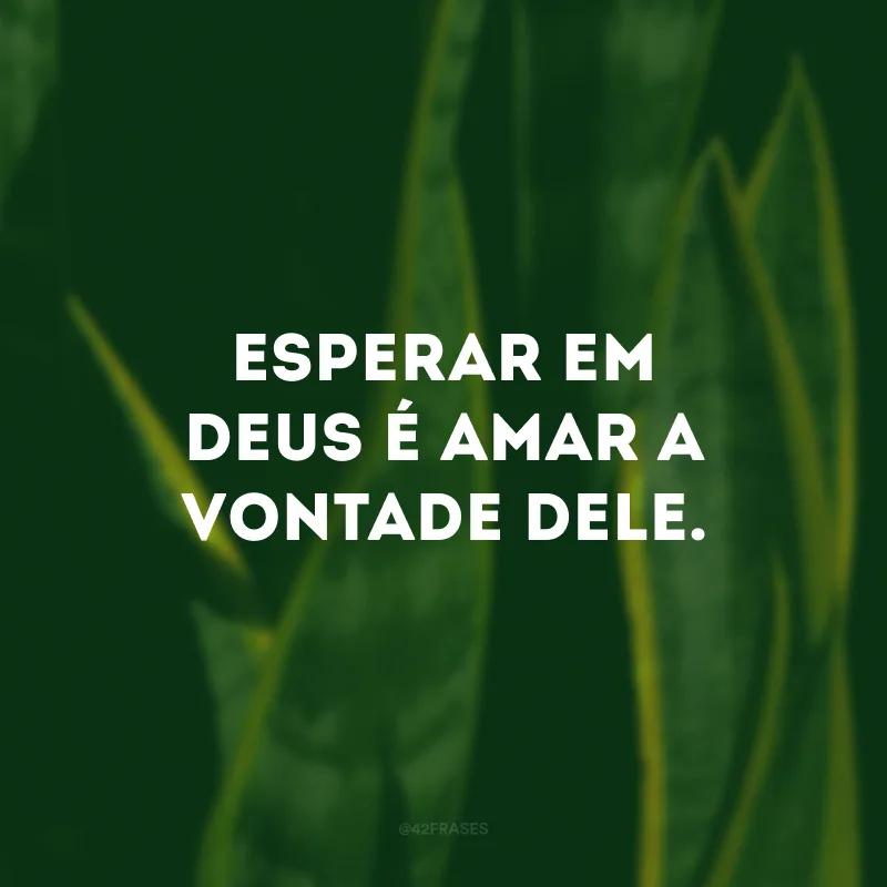 Esperar em Deus é amar a vontade Dele. 