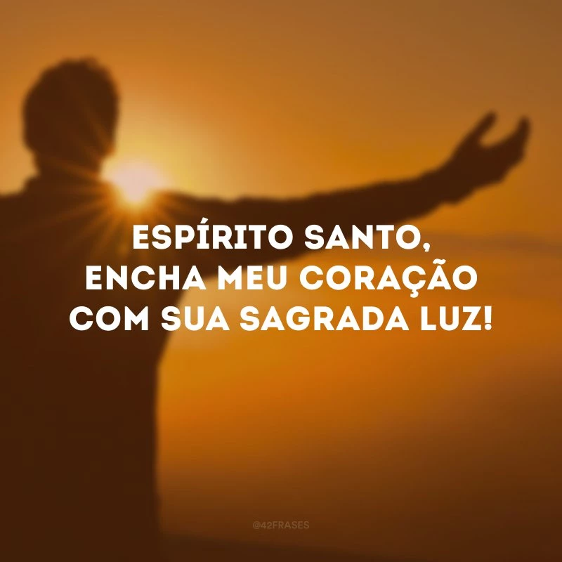 Espírito Santo, encha meu coração com sua sagrada luz!