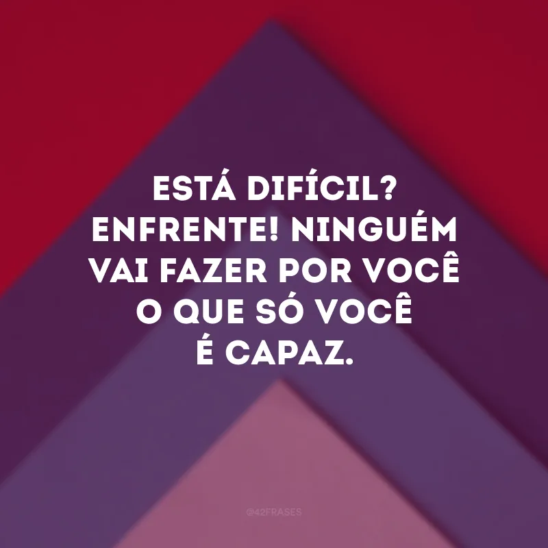 Está difícil? Enfrente! Ninguém vai fazer por você o que só você é capaz.
