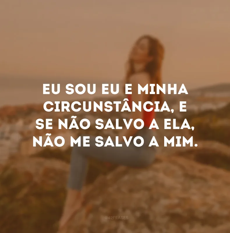 Eu sou eu e minha circunstância, e se não salvo a ela, não me salvo a mim.