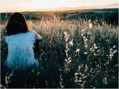 30 frases de boa tarde para status cheias de reflexões