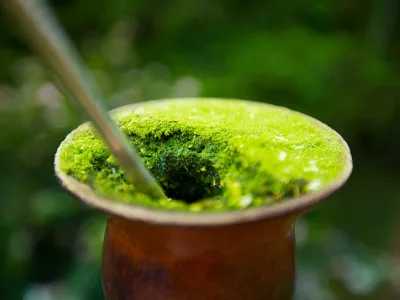 30 frases de chimarrão para quem sabe valorizar um bom mate