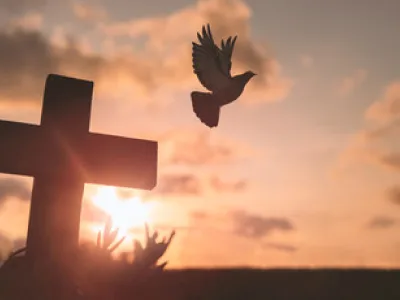 30 frases do Espírito Santo para entrar em contato com o sagrado