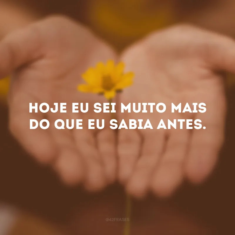 Hoje eu sei muito mais do que eu sabia antes.