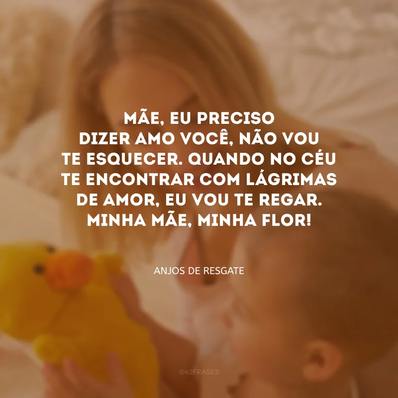 Mãe, eu preciso dizer amo você, não vou te esquecer. Quando no céu te encontrar com lágrimas de amor, eu vou te regar. Minha mãe, minha flor!