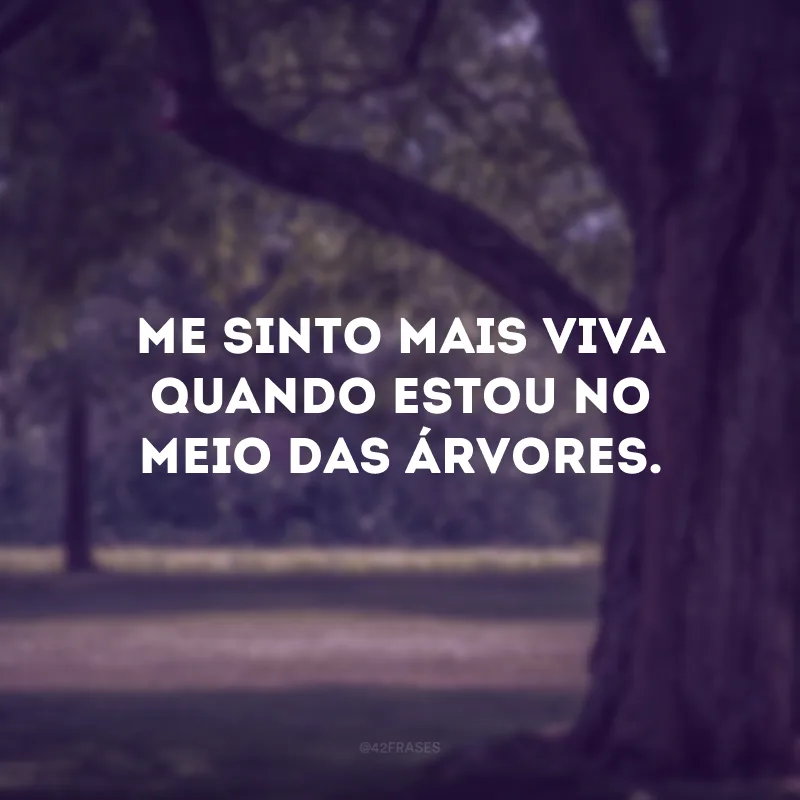 Me sinto mais viva quando estou no meio das árvores.