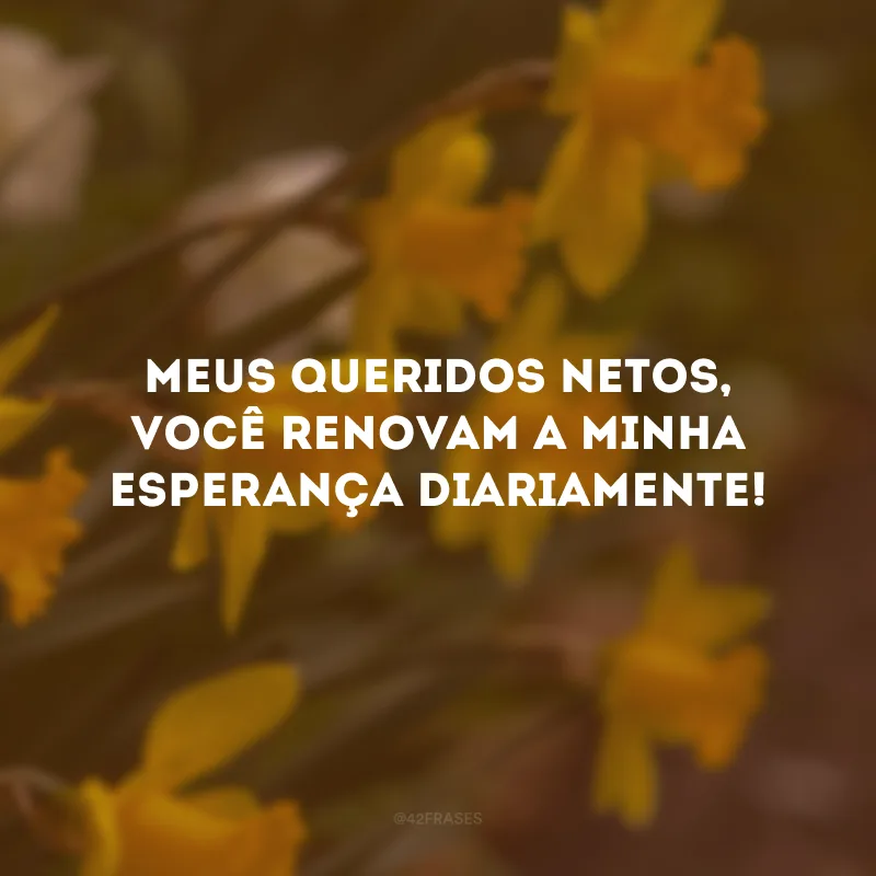Meus queridos netos, você renovam a minha esperança diariamente! 