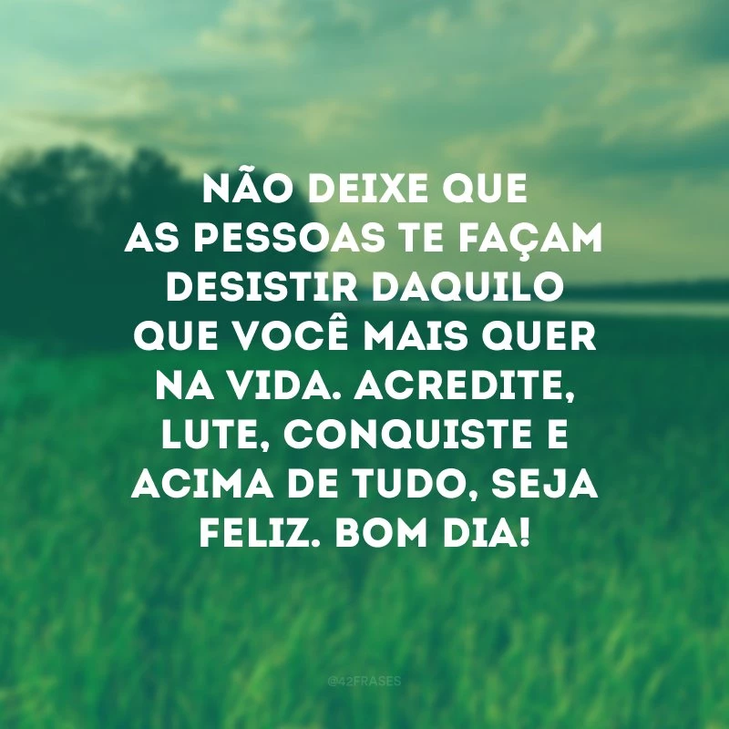 Não deixe que as pessoas te façam desistir daquilo que você mais quer na vida. Acredite, lute, conquiste e acima de tudo, seja feliz. Bom dia!
