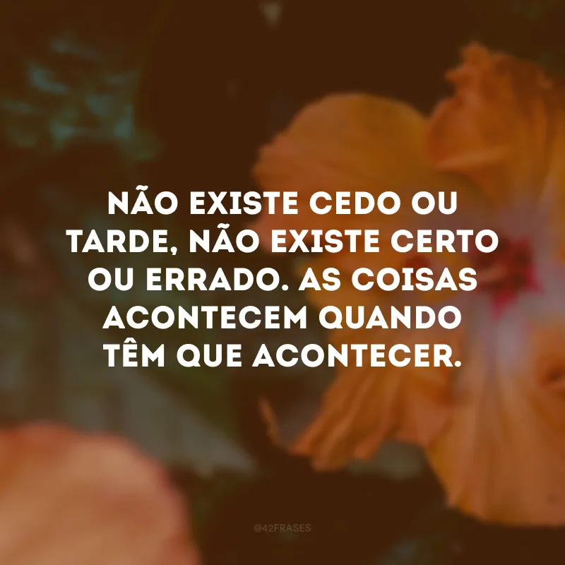 Não existe cedo ou tarde, não existe certo ou errado. As coisas acontecem quando têm que acontecer. 