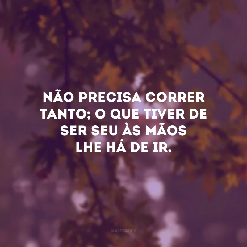 Não precisa correr tanto; o que tiver de ser seu às mãos lhe há de ir.