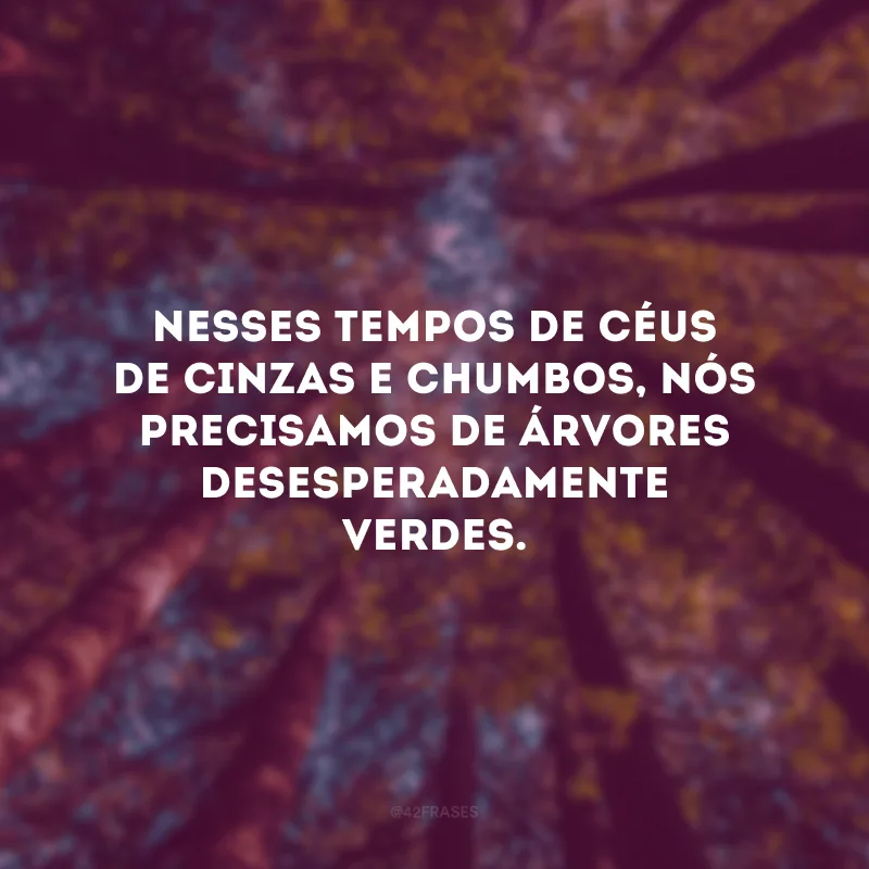 Nesses tempos de céus de cinzas e chumbos, nós precisamos de árvores desesperadamente verdes.